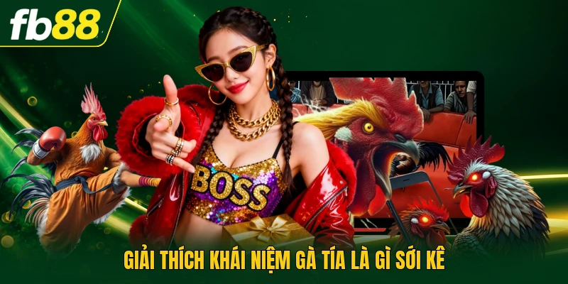 Giải thích khái niệm gà tía là gì sới kê