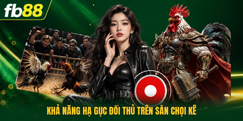 Khả năng hạ gục đối thủ trên sàn chọi kê